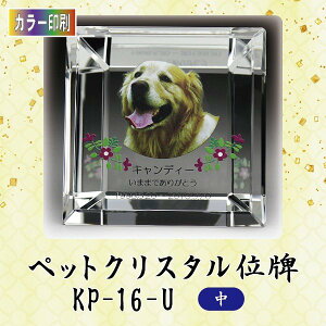 yJ[zNX^ybgʔv KP-16-U ()ybg A NX^ ʐ^