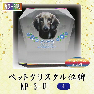 yJ[zNX^ybgʔv KP-3-U ()ybg A NX^ ʐ^