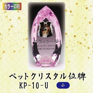 yJ[zNX^ybgʔv KP-10-U ()ybg A NX^ ʐ^