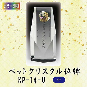 yJ[zNX^ybgʔv KP-14-U ()ybg A NX^ ʐ^