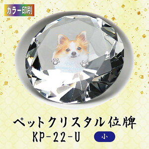 yJ[zNX^ybgʔv KP-22-U ()ybg A NX^ ʐ^