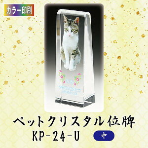 yJ[zNX^ybgʔv KP-24-U ()ybg A NX^ ʐ^