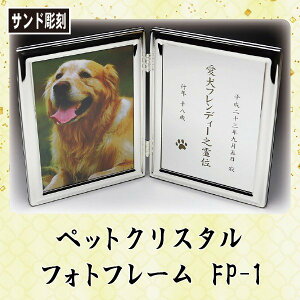 ybg AtHgt[ FP-1 ThuXg NX^E_ 㕗