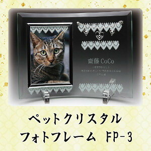 ybg AtHgt[ FP-3 ThuXg NX^E_ 㕗