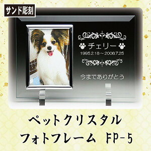 ybg AtHgt[ FP-5 ThuXg NX^E_ 㕗