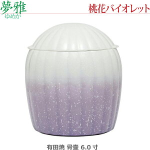 y6.0z(߂) Lc [ԃoCIbg]