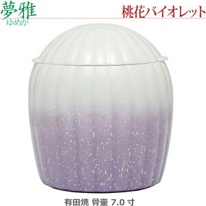 y7.0z(߂) Lc [ԃoCIbg]