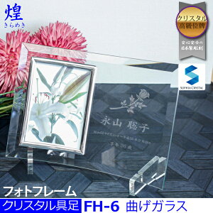 NX^y (߂)ztHgt[@FH-6ThuXg NX^_ 㕗