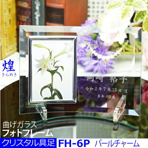 NX^y (߂)ztHgt[ FH-6PȖʃKX p[`[tThuXg NX^_ 㕗