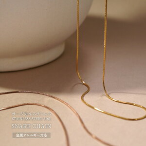 lbNX AM[Ή `F[ S[h CG[S[h sNS[h F fB[X a v[g XeX316L lbN Xl[N`F[ Zp 43cm t[ G