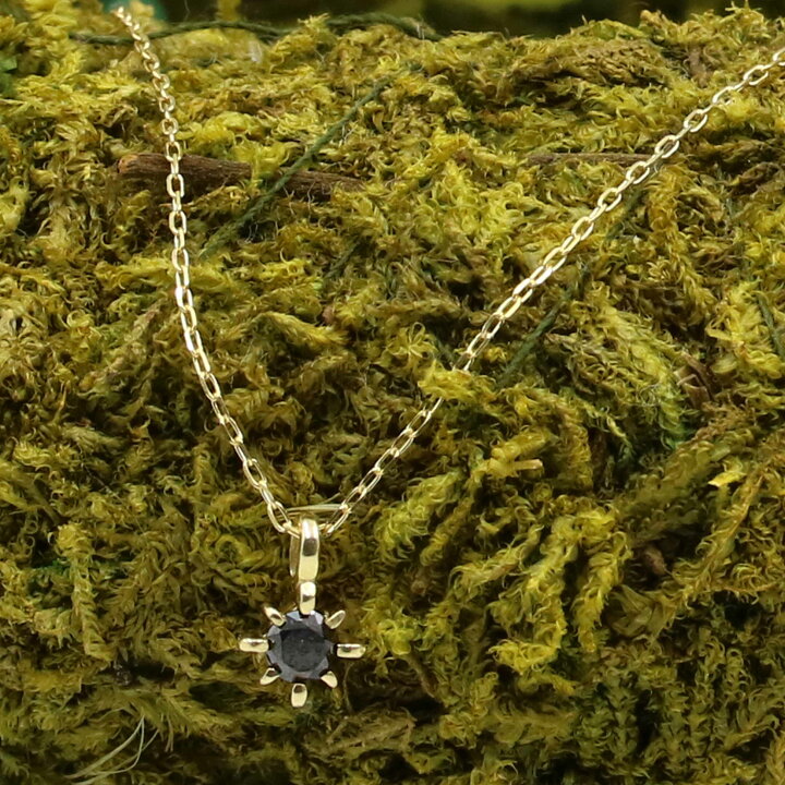 楽天市場】ブラックダイヤ ネックレス 0.1ct K10 ゴールド 10金 プチ 