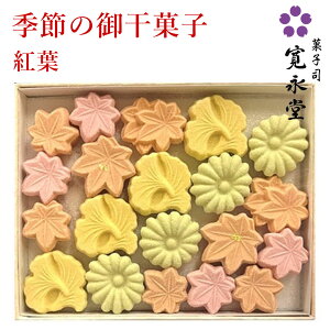 䊱َq gt i H َq aَq  炭 F120ȏ