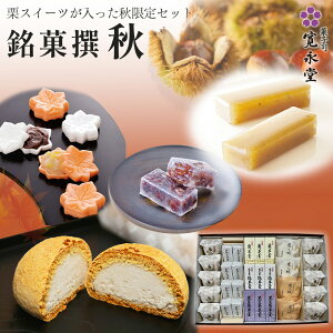 【マラソンP5倍】銘菓撰 秋 大 31個入 寛永堂 セット 詰め合わせ 寛永傳 黒豆茶羊羹小形 黒豆茶塩羊羹小形 栗羊羹小形 寛乃楓こし餡 寛乃楓栗餡 大納言清澄 贈答 手土産 手土産 法事 お返し