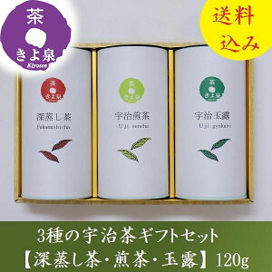 yz o t13܂ Ε F Mtg v[g  2025 FMtg Β 120g  ʘI [ F s t lC  j  i 蕨 Ԃ 