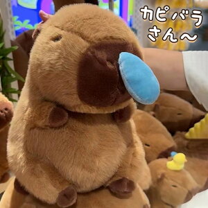 Jso ʂ  ʂ    av[g CeA X Iׂ3TCY 23cm/35cm/45cm ̃Jso av[g NX}Xv[g 