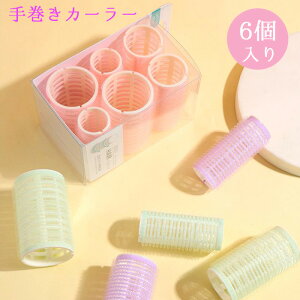 芪J[[ Oy6z 咆3ނ̃TCY 2Zbg wAJ[[ 3F J[_Ŕ