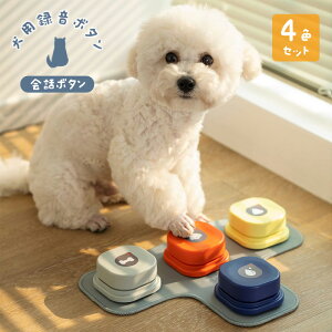 p ^{^ b{^ {^ x R~jP[V g[jO P ybg m  4FZbg VRS}bgt