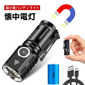 懐中電灯 超小型ハンディライト 3つのLEDライト 3倍高輝度 18350電池付き 磁気エンドキャップ付 携帯用クリップ 5つ照明モード 軽量 明る Type-C充電式 6時間連続使用可能 軍用アルミ合金 IPX67防水 自転車 登山 夜釣り 夜間訓練 作業用 停電 防災 地震 避難対策 緊急用