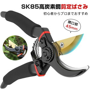 ΂ }؃oT~  J45mm yS҂v܂ł߁zYf| A~ ؂ꖡ ₷ Kтɂ bN[ K[fjO v ؙp }؂ ~ 