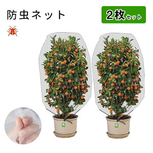 AیJo[ 2Zbg hlbg Aی ؖ ؍͔| |plbg  悯Jo[ Ap hlbg DIY  ؉v^[p |pi