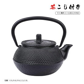 鉄瓶 南部鉄器 鉄瓶兼用急須 鋳物 茶こし付き 茶道道具 鉄やかん IH対応 直火可 鉄製