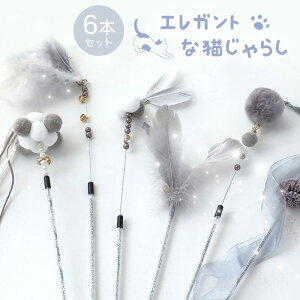 y6{ZbgzL炵 L Ĥ L ނ t xt 炵 킢 R~jP[V ^s XgX Lpi