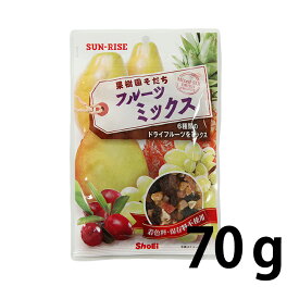 サンライズ フルーツミックス 70g ドライフルーツ 小袋 正栄食品 チャック付き 着色料保存料不使用