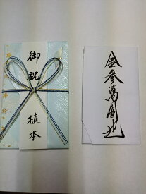 出産祝い、入学祝い、男性用金封　　毛筆手書　筆耕無料　送料無料