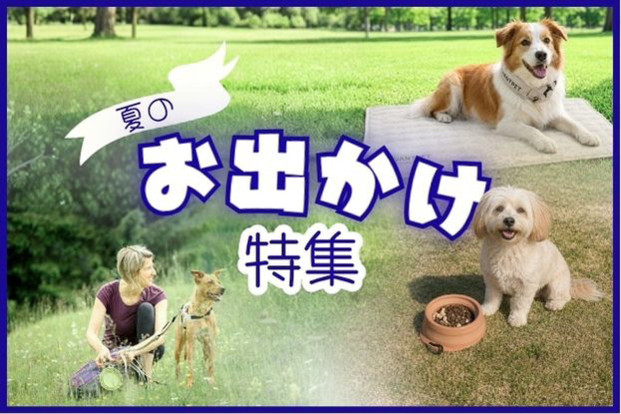 夏のお出かけ特集