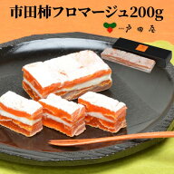 【300円OFFクーポン9/3迄】送料無料 戸田屋 市田柿フロマージュ200g×1本 市田柿 クリームチーズ 長野県 …