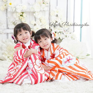 ܎O  3 ̔ q ̎q u S~() v tZbg ȒP ЂȍՂ  w j j g ÓT   753 LbY  _ 吳Q tzZbg 