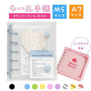 V[ oC_[ tB 䎆 10 A7 M5 V[蒠 V[oC_[  NA J[h[ V[ l̃V[蒠 ߘa  V[oC_[ ͂ 6 ̎q l 