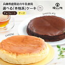 本格派ケーキ チーズ 6号サイズ（直径約18cm）常温 1個 2個 6個 兵庫県産限定の牛乳使用 誕生日 内祝 ギフト お祝い …