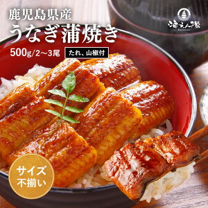 Y KiỎV 500gi2`5ji15gjTCYs Ȃ EiM V  Ă ȂĂ ^t Y ӂ ㎿ ȒP a j Mtg j Ε oY