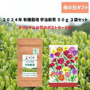 ̓  ̃|XgJ[ht 2025N L@͔| FV 50g 3܃Zbg | Mtg { yY 蕨 F I[KjbN JAS擾 {      \ ̓
