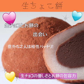 楽天市場 変わった チョコレートの通販