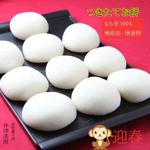 1231͂@݁@ۂ@@Y ݕ100@@yz@@@lCî߂ڂɂ\񂭂