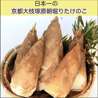 2026 今が旬 朝堀り当日発送 たけのこ筍4kg（優品) 京都・大枝塚原産 当日発送 旬 タケノコ 竹の子 洛西 …