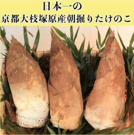 2026年 今が旬 朝堀り当日発送 京たけのこ筍2kg（優品) 京都・大枝塚原産 タケノコ 竹の子 洛西 京料理 精進料理 高級ブランド 春の味覚 贈り物 クール便指定おねがいします