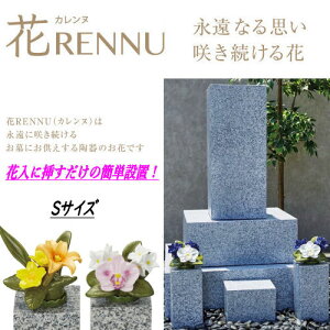  RENNU Jk 1 S   j[{ Q ͂Ȃ 2Zbg  ؂  Mtg @ ފ ~ l\   Sa Sď 