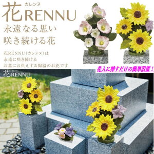  RENNU Jk 1 L   j[{ Q ͂Ȃ 2Zbg  ؂  Mtg @ ފ ~ l\   Sa Sď 