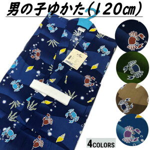 䂩 ǂ TCY120     ÓT  j̎q I Jj LbYTCY 7˂8˗p 120cm j q   Ղ  WjA LbY 킢 g q ǂ䂩 