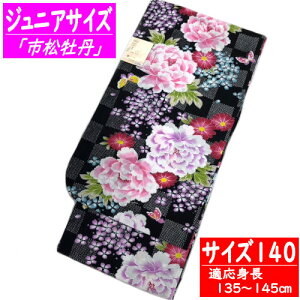 䂩 TCY140 ǂ usOv n a ȍg~ g~D  ̎q WjATCY 11˂12˗p 140cm 100 ÓT  q Ղ  LbY g ubN q ǂ