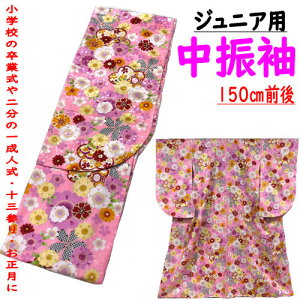 WjA U ̎q 150cm dďオ ÓT sN  w U WjATCY 150TCY @    ǂ 10 \΂̏j n[tl l j q 