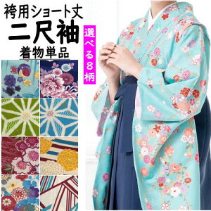 二尺袖 単品 女性着物 | 通販・人気ランキング - 価格.com