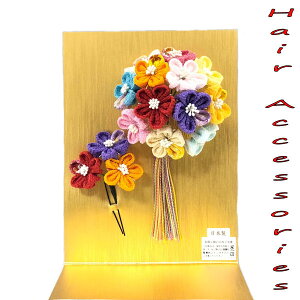  2_Zbg ߂׍H ܂ݍ׍H l U Ǝ  p[eB[ R[ Us wAANZT[  a  ݂  p fB[X a  g_