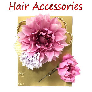  2_Zbg  ߂ sN  gݕR l U Ǝ  p[eB[ R[ Us wAANZT[  䂩 a   p fB[X a g_