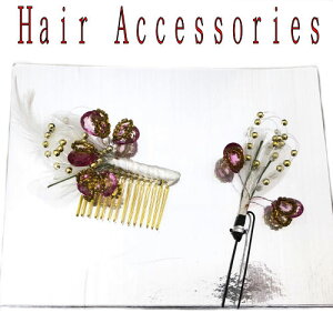  2_Zbg t@[  l U Ǝ  p[eB[ R[ Us wAANZT[  䂩 a   p fB[X a g_ 킢 S[WX 