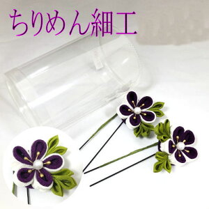 yXIWiz  2_Zbg ߂ ܂ݍ׍H l U Ǝ  p[eB[ Us wAANZT[  䂩 a   p fB[X a  g