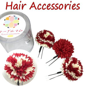  Us 3{Zbg }[u} ۋe ߂ l U Ǝ  p[eB[ wAANZT[  䂩 a   p fB[X a  g_ 